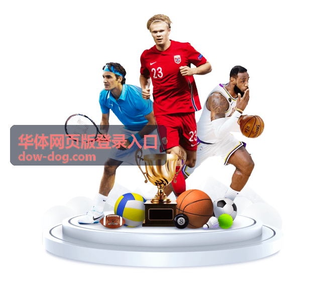 华体网页版登录入口验证码接收延迟场景