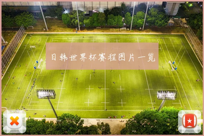 日韩世界杯赛程图片一览