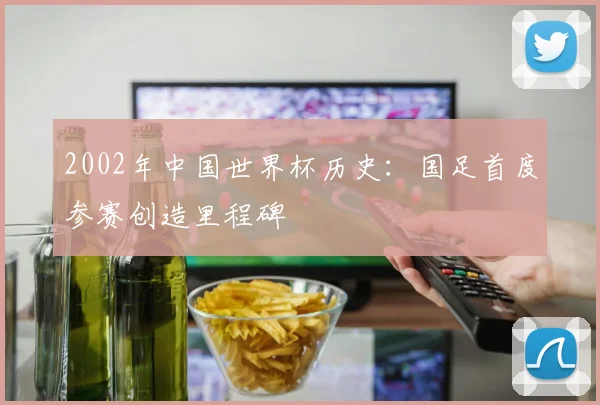 2002年中国世界杯历史:国足首度参赛创造里程碑