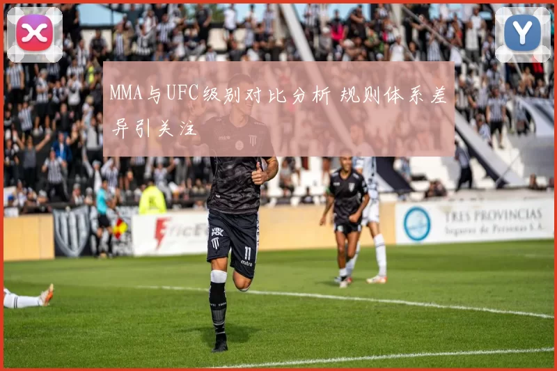 MMA与UFC级别对比分析 规则体系差异引关注