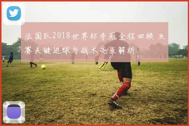 法国队2018世界杯夺冠全程回顾 决赛关键进球与战术亮点解析
