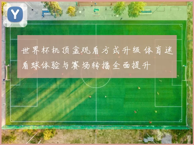 世界杯机顶盒观看方式升级 体育迷看球体验与赛场转播全面提升