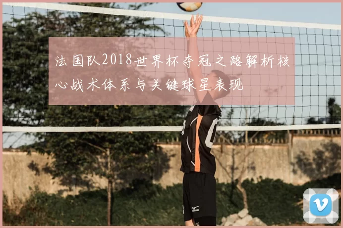 法国队2018世界杯夺冠之路解析核心战术体系与关键球星表现