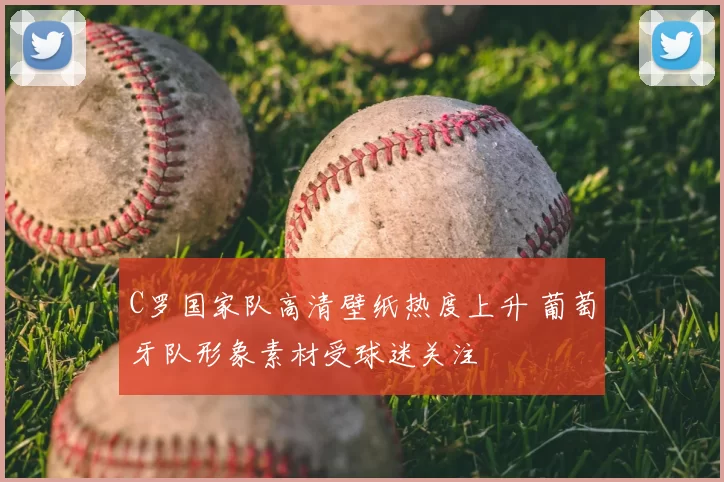 C罗国家队高清壁纸热度上升 葡萄牙队形象素材受球迷关注
