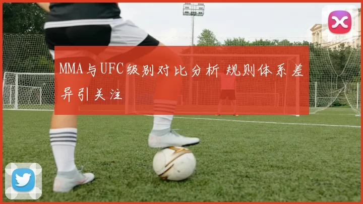 MMA与UFC级别对比分析 规则体系差异引关注