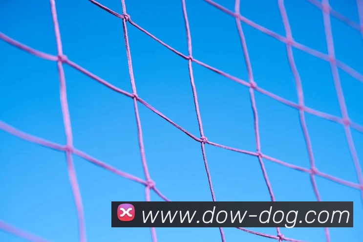 APP 体育赛事宣传图